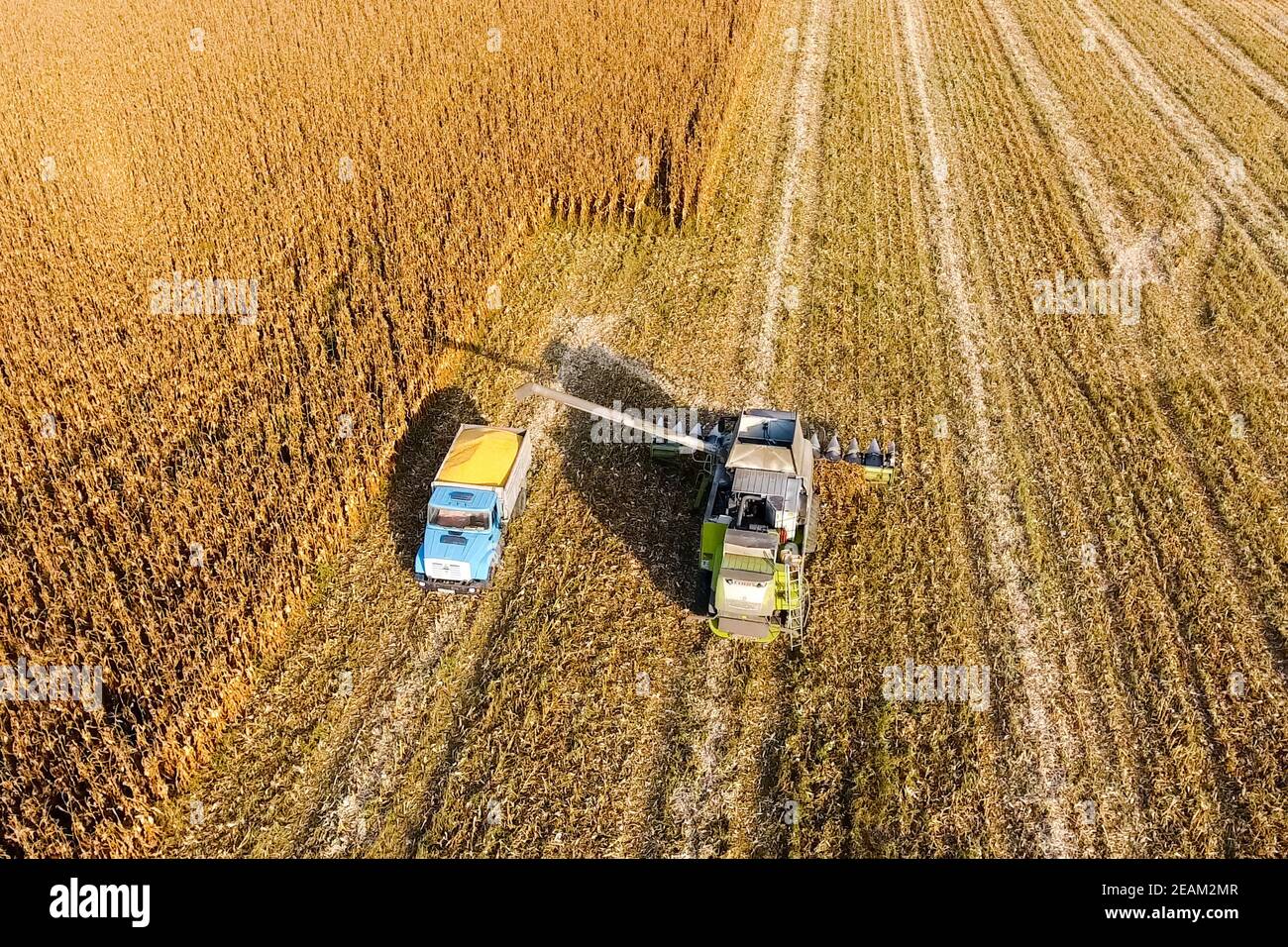 Roll Harvester, Turf Harvester, Lawn Harvester