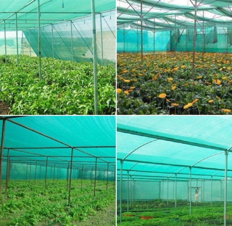 Coir Net | Vegetable Mat