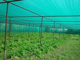 Green Net