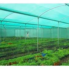 Double Cord Net