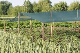 Hdpe Netting Manufacture