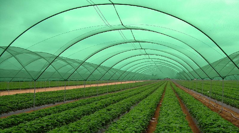 Hdpe Balcony Net