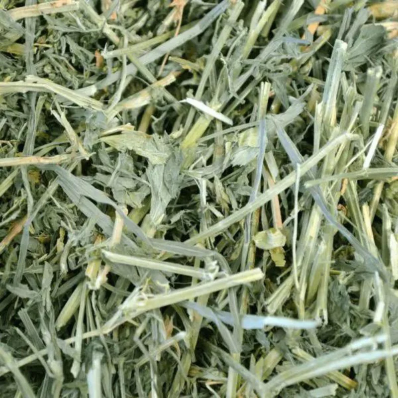 Alfalfa Hay