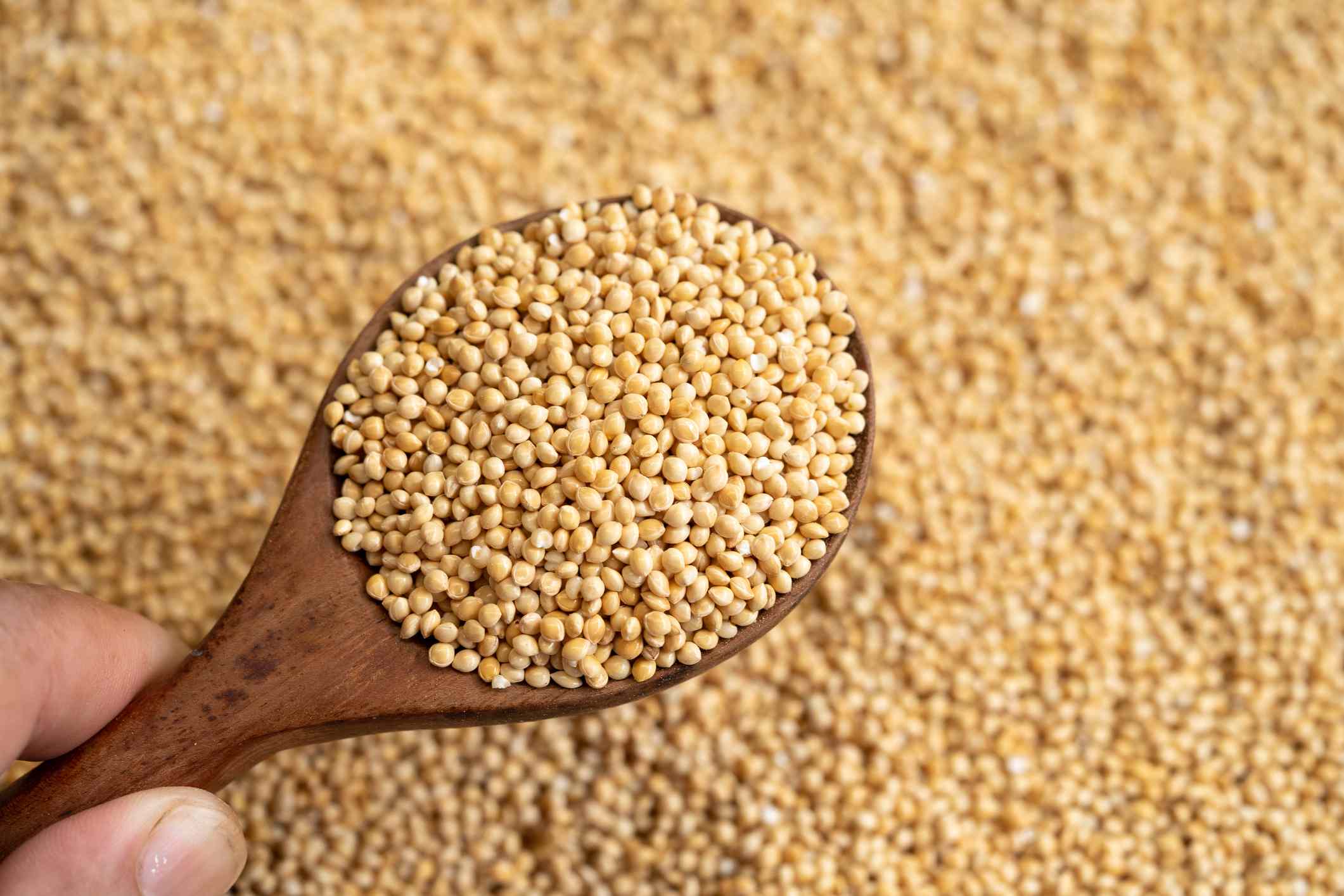 Amaranth / Kiwicha