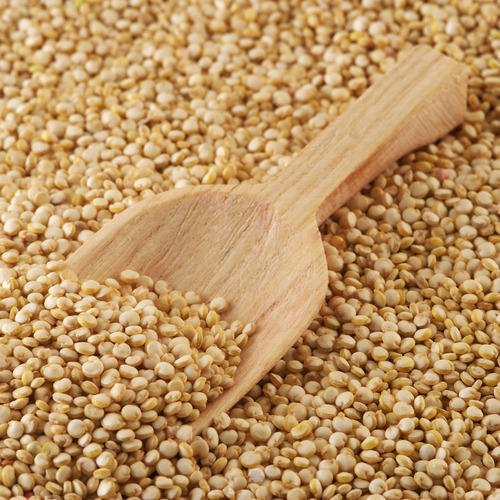 Amaranth Seeds