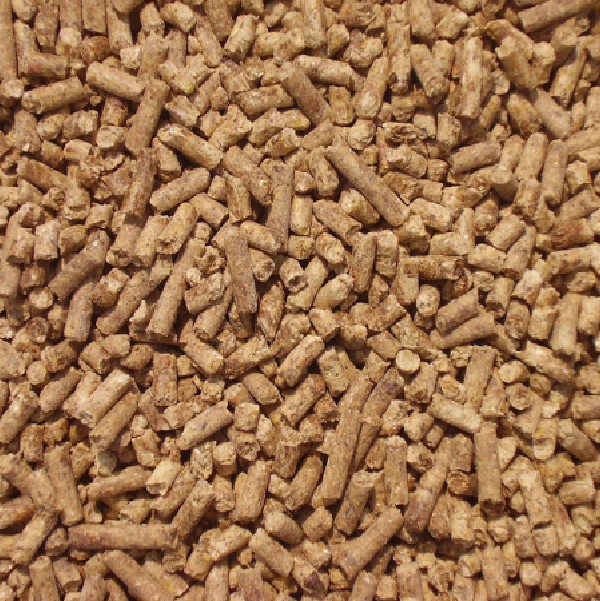 Corn Gluten Meal