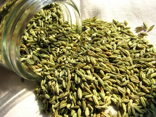 Anise