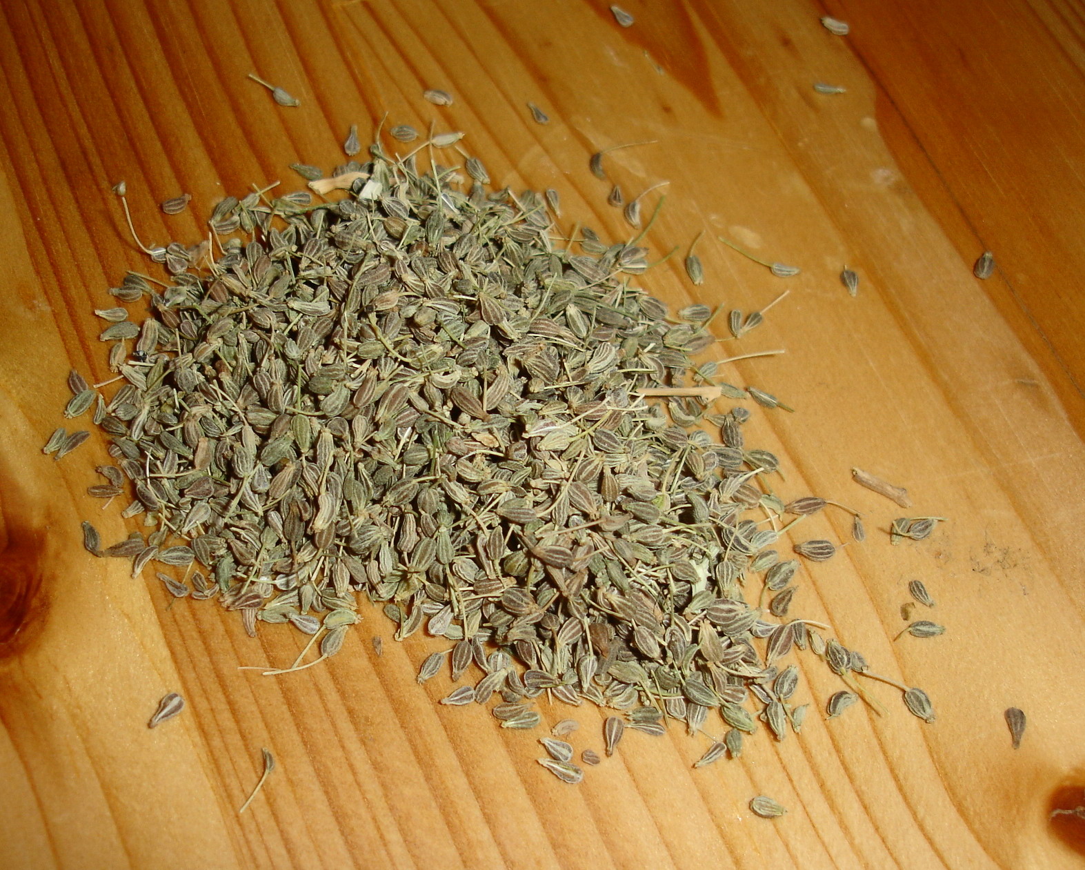 Pimpinella Seeds