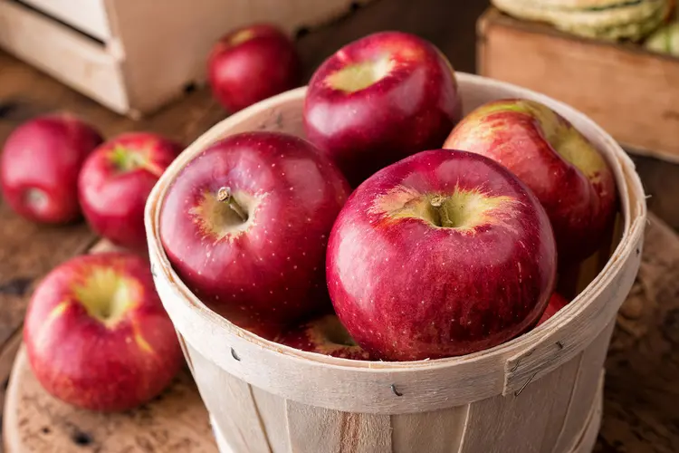 RED APPLE