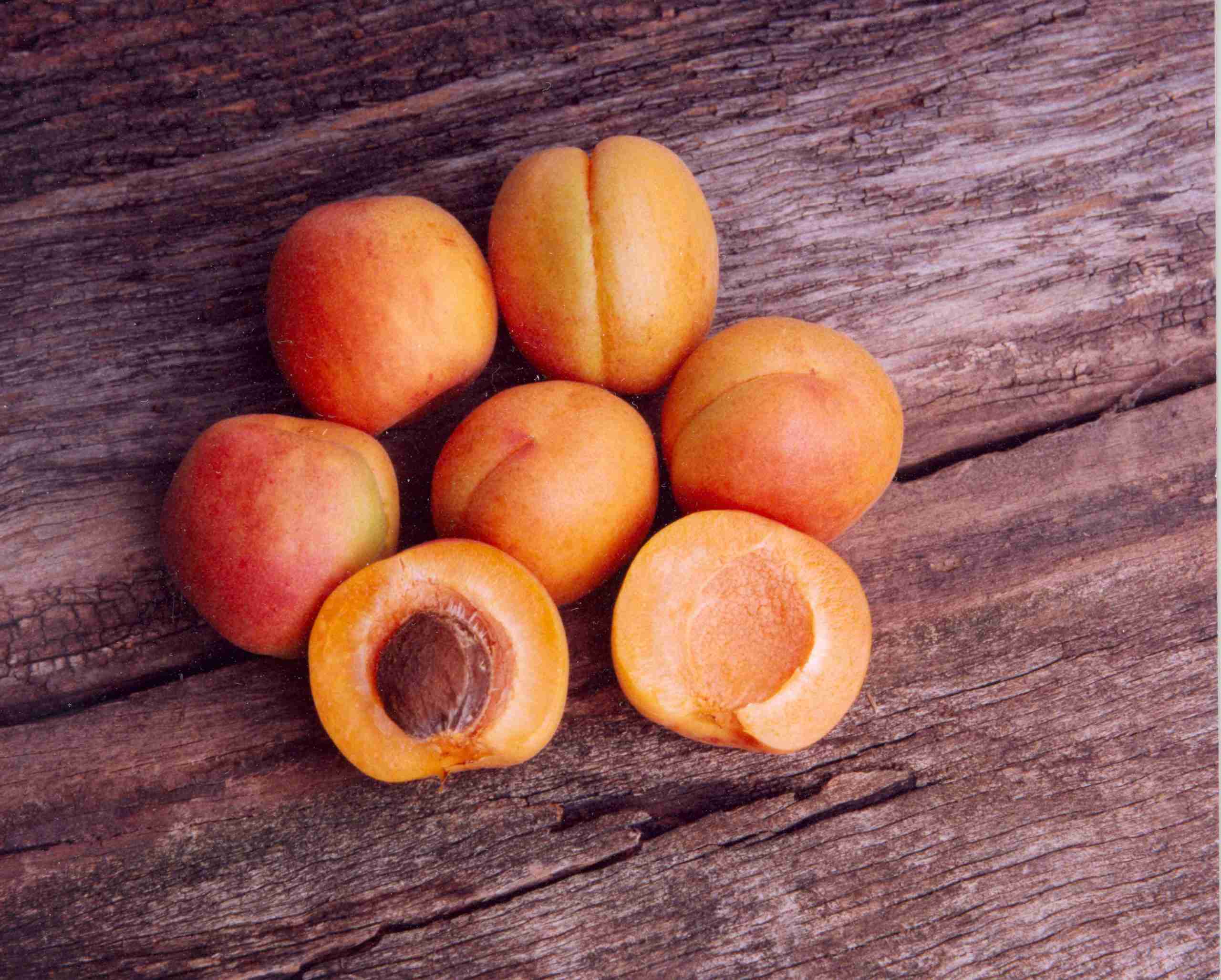 Dried Apricot