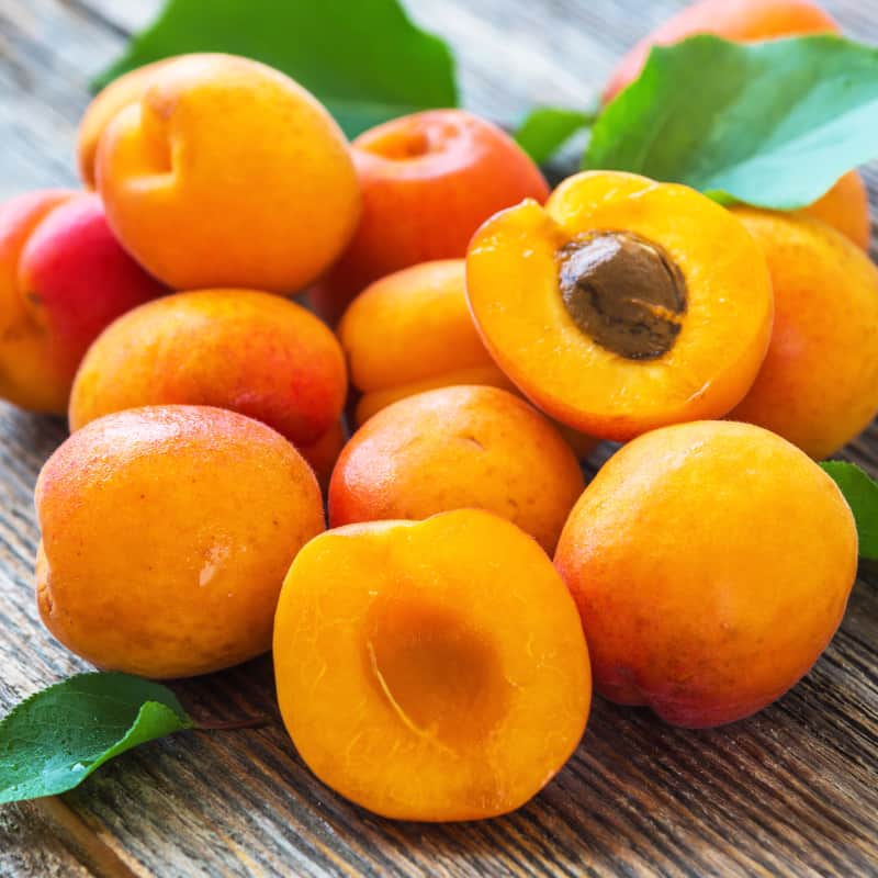 Dried Apricot