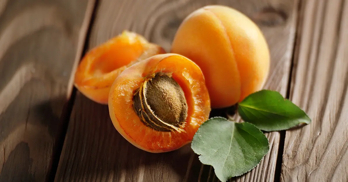 Sweet Apricot Kernels