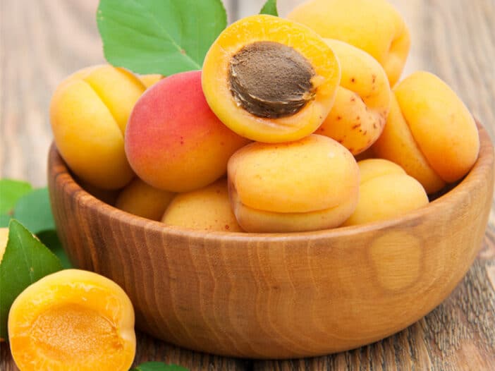 China Origin Dried Apricot