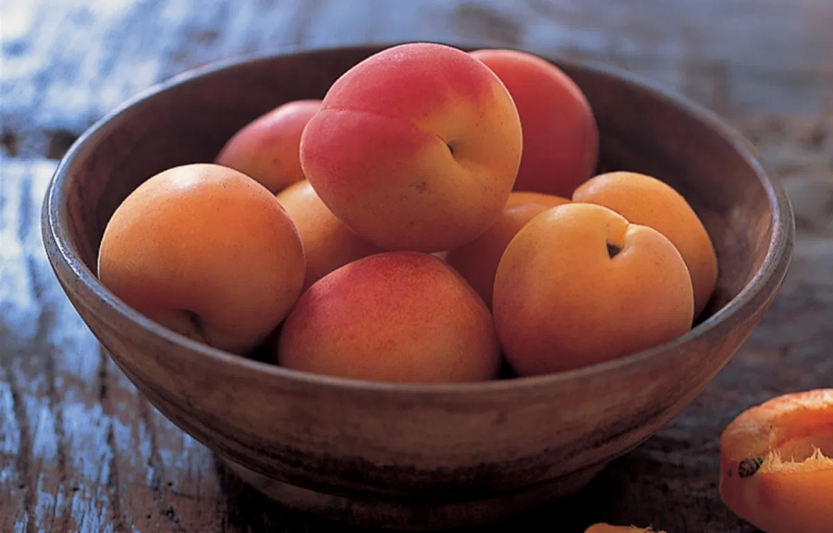 Raw Sweet Apricot Kernels Similar To Almonds