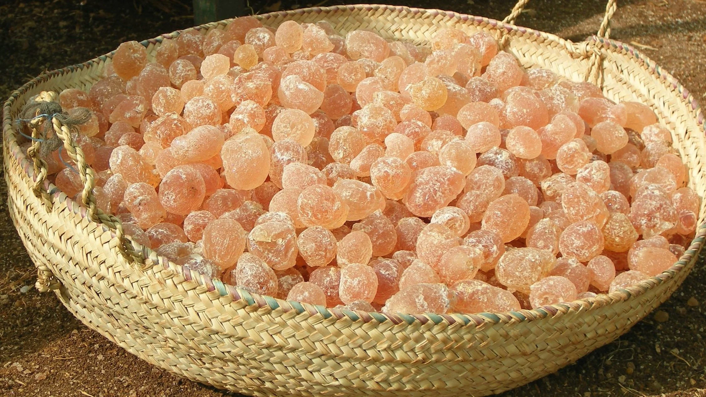 Gum Arabic