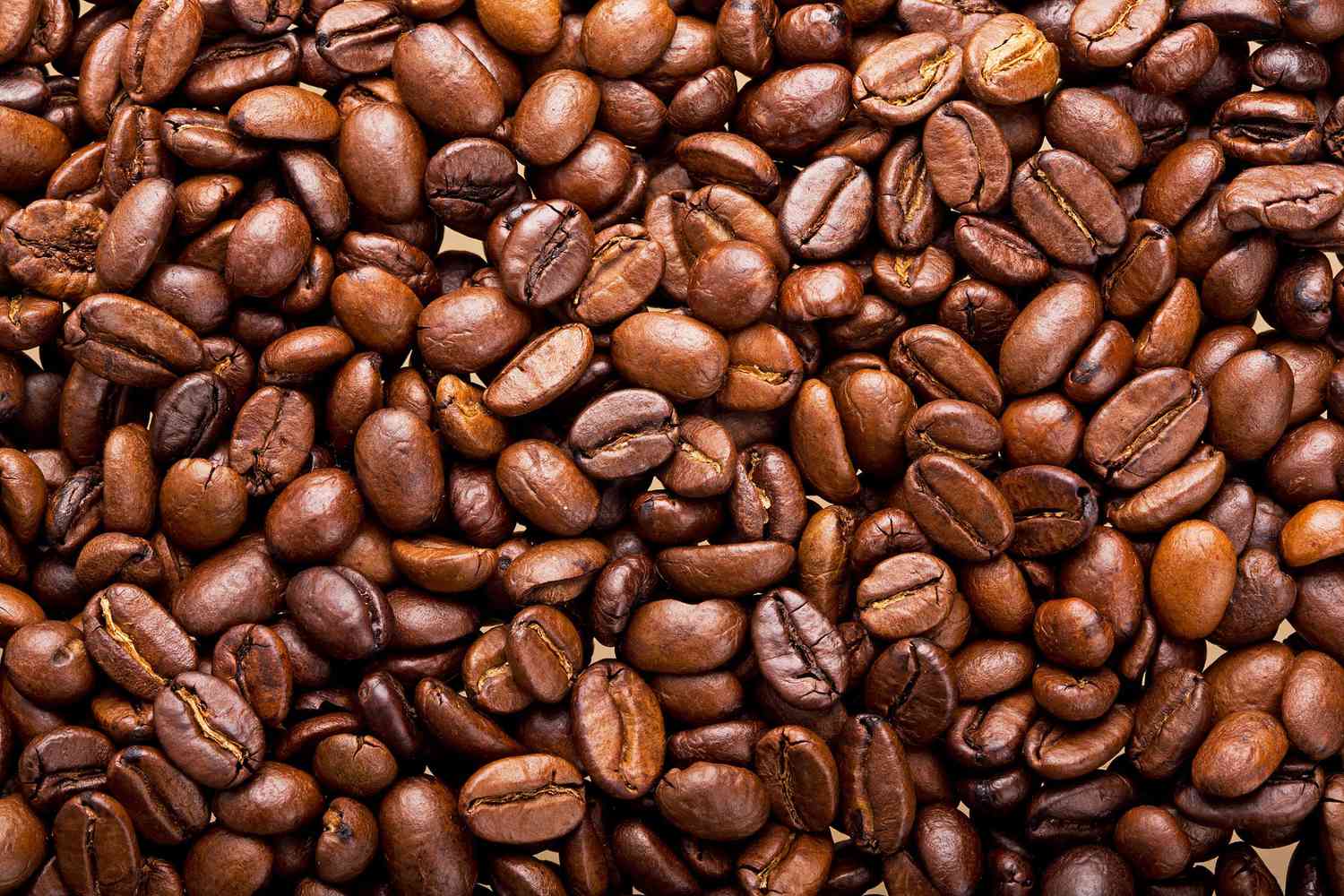 Coffee Arabica Minang