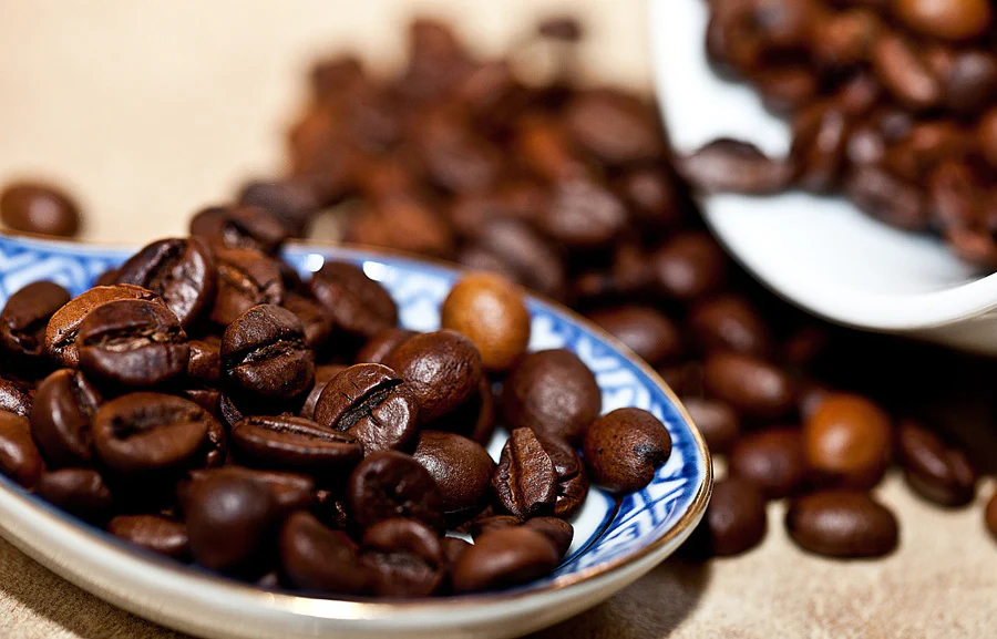 Arabica