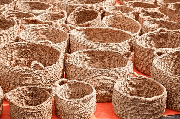 Coir Dust