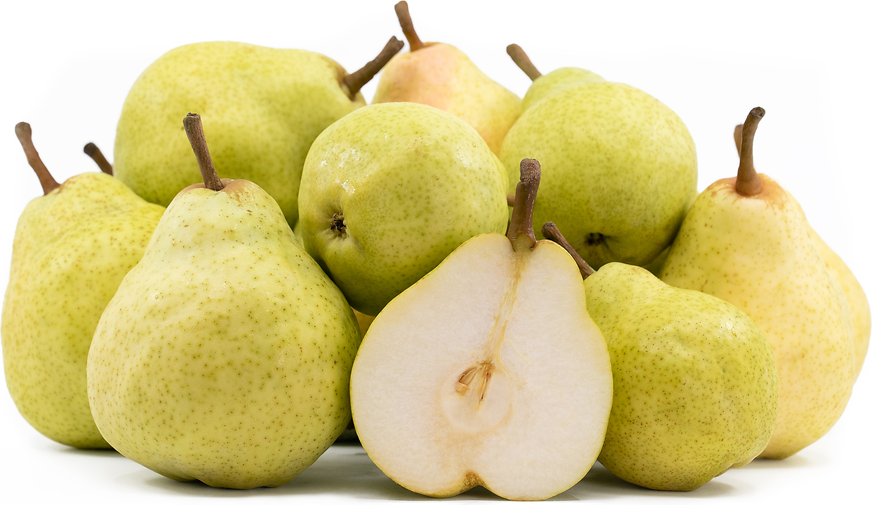 Custerd Apple