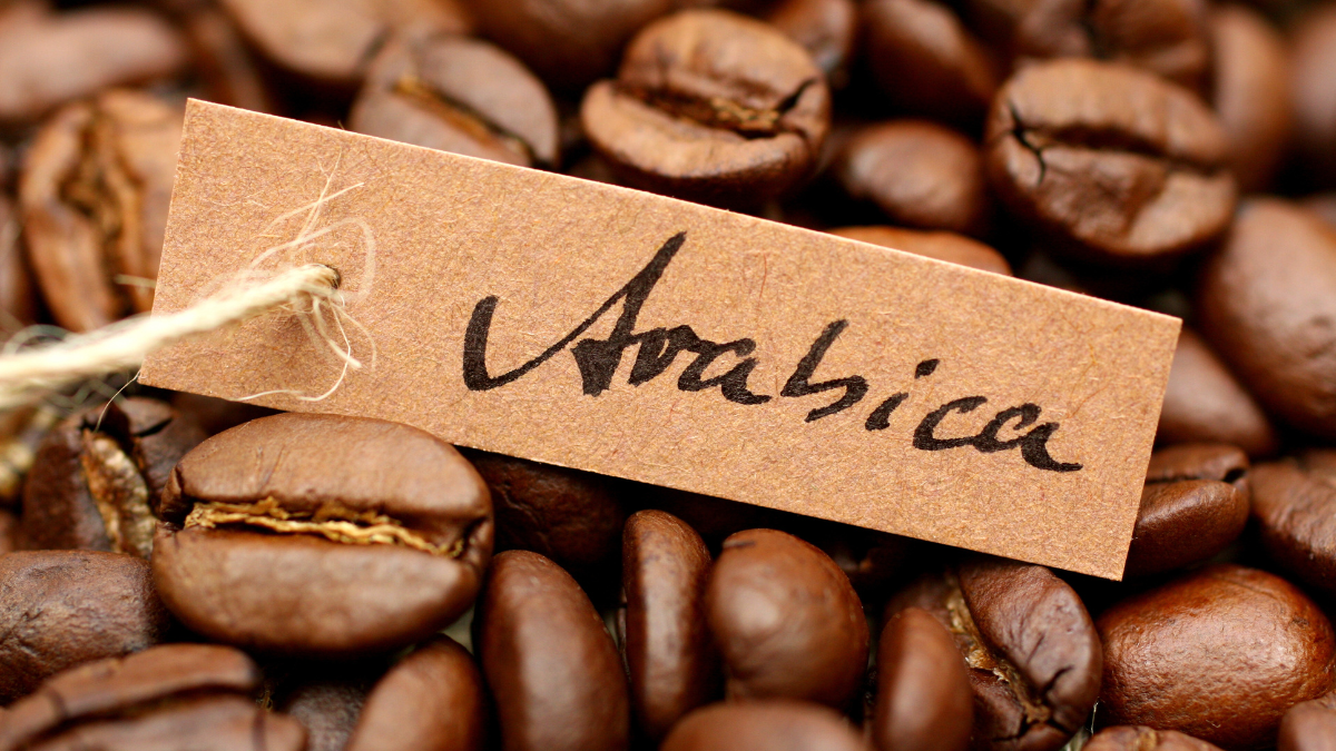 Arabica Coffee
