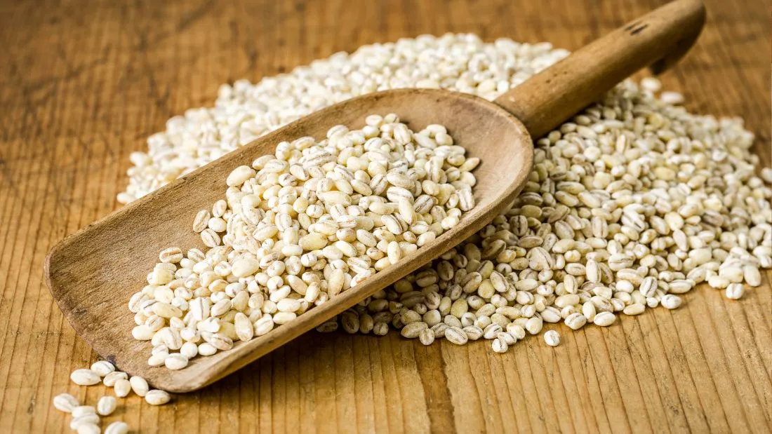 Barley by Naph Grainex Llp