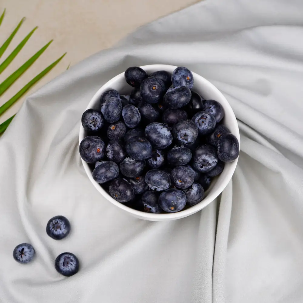 Fresh Blueberry Fruits