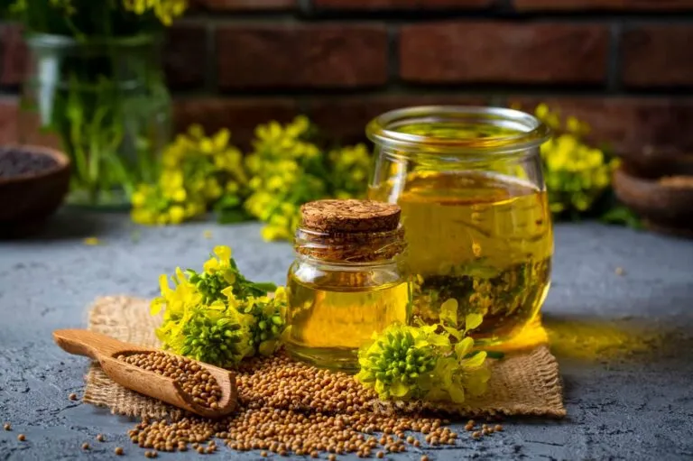 Refined Canola  Oil For Sale | EximNext