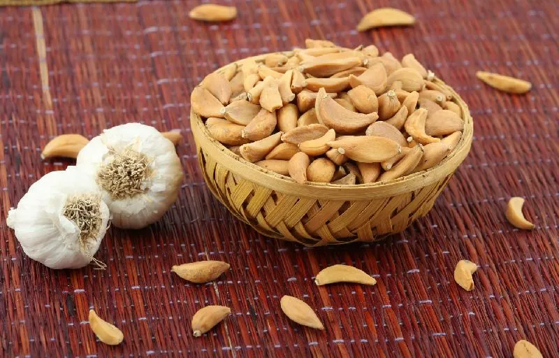 Garlic by Arputham Exports