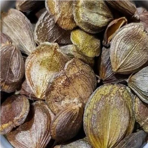 Flower Dress by Elsayaad Tricotco