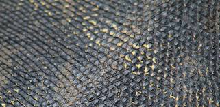 Lizard Fish by  Ambar Exports 