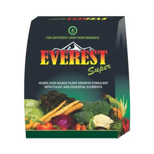 Tube Plant Holder, Plant Propagation Tube Vase 5 by  Cv Ruang Inspirasi Indonesia 