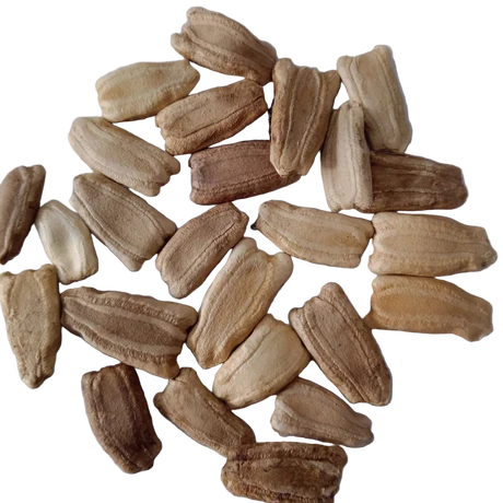 Automatic Vegetable Seeder Production Line by Kim Credence Glassware Co., Ltd.