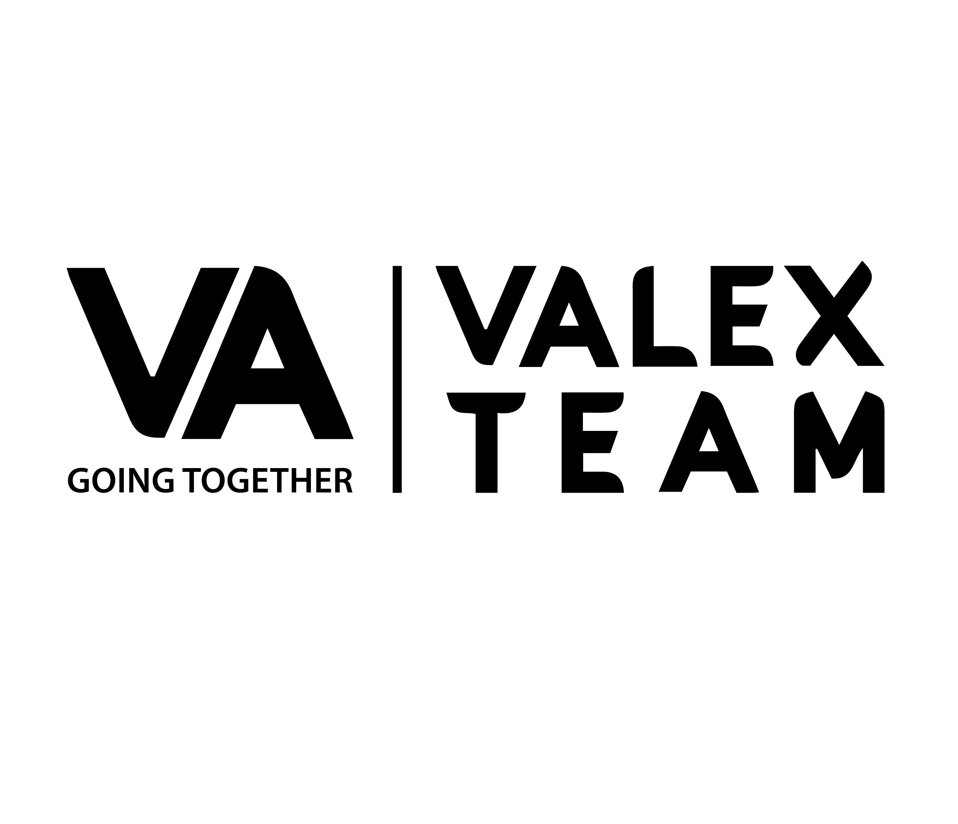 Valex Team