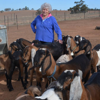 Maria Livestock Farm