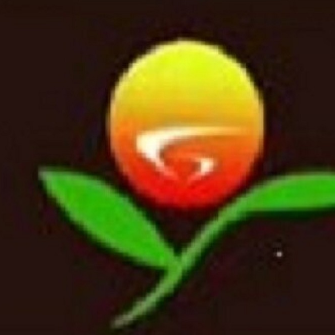 Tongling Yuguo Balancing Materials Co.,Ltd