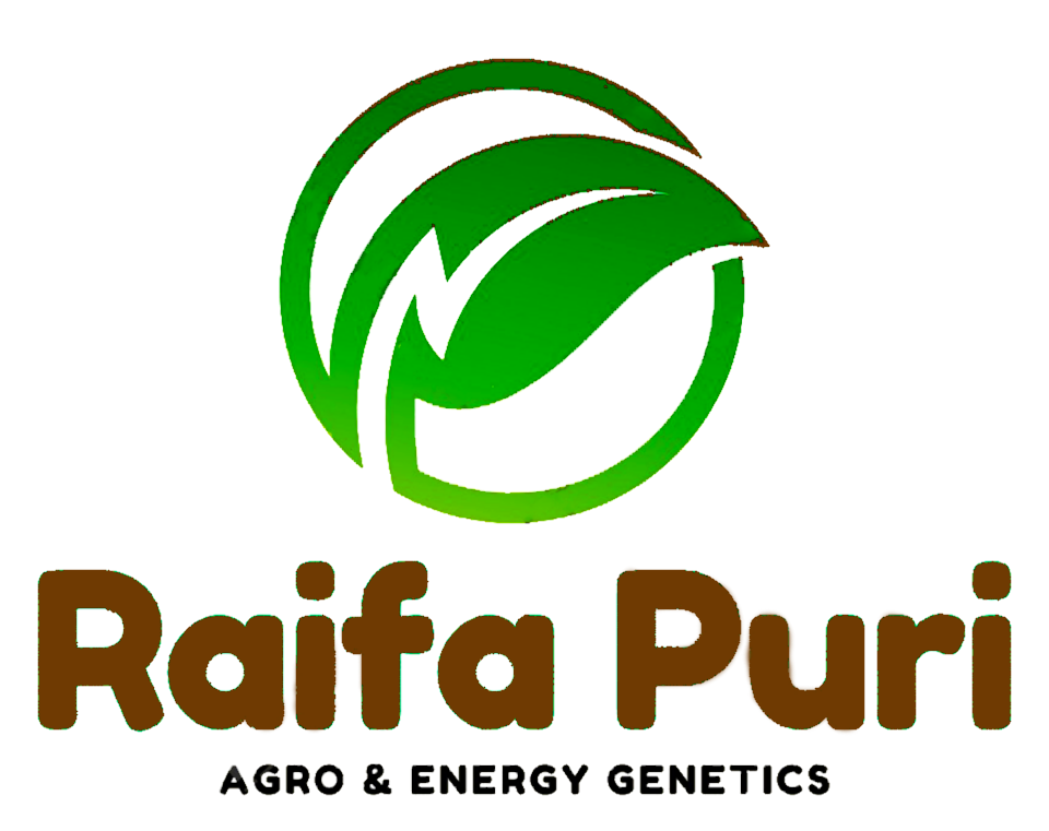 Raifa Puri Enterprise