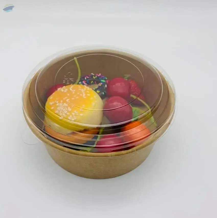 Paper Food Container