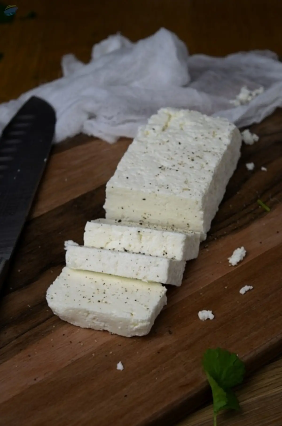 Frozen Paneer (Indian Cottage Cheese)