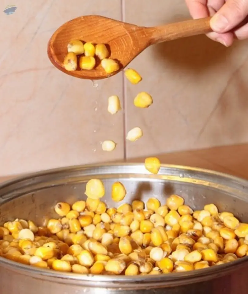 Frozen Sweet Corn by BR Global Trade