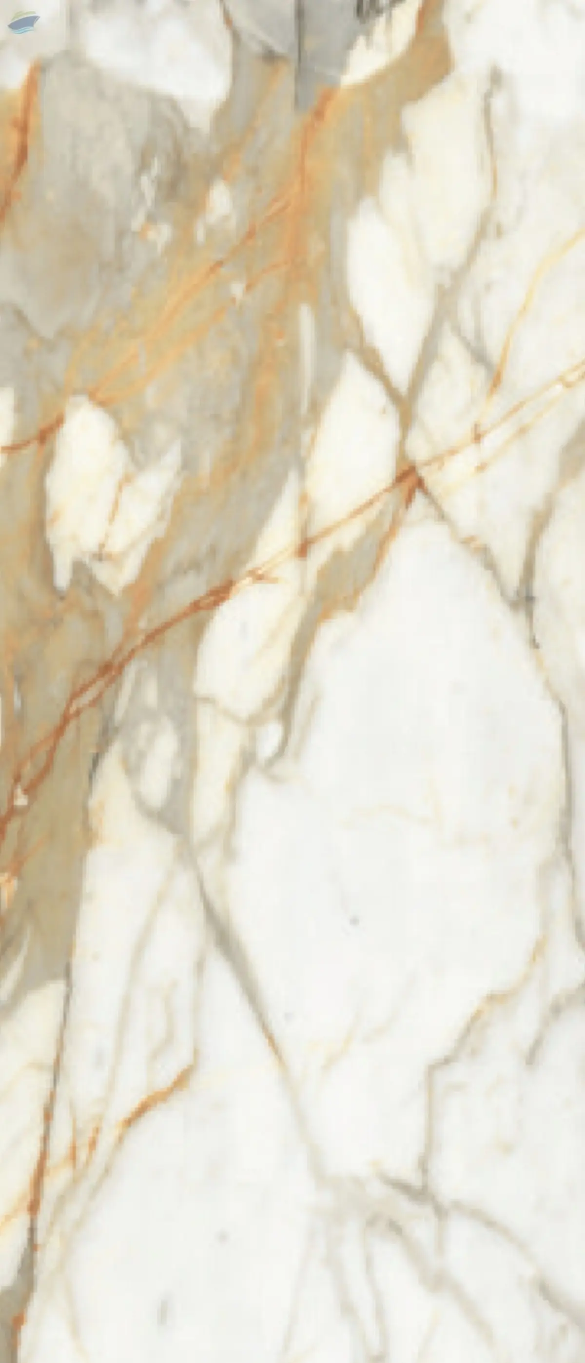 Porcelain Tiles 60 x 120