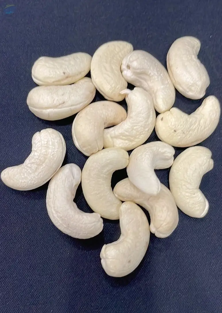 Cashew Nut