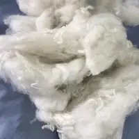Recycled Polyester Staple Fibre ( Raw White )
