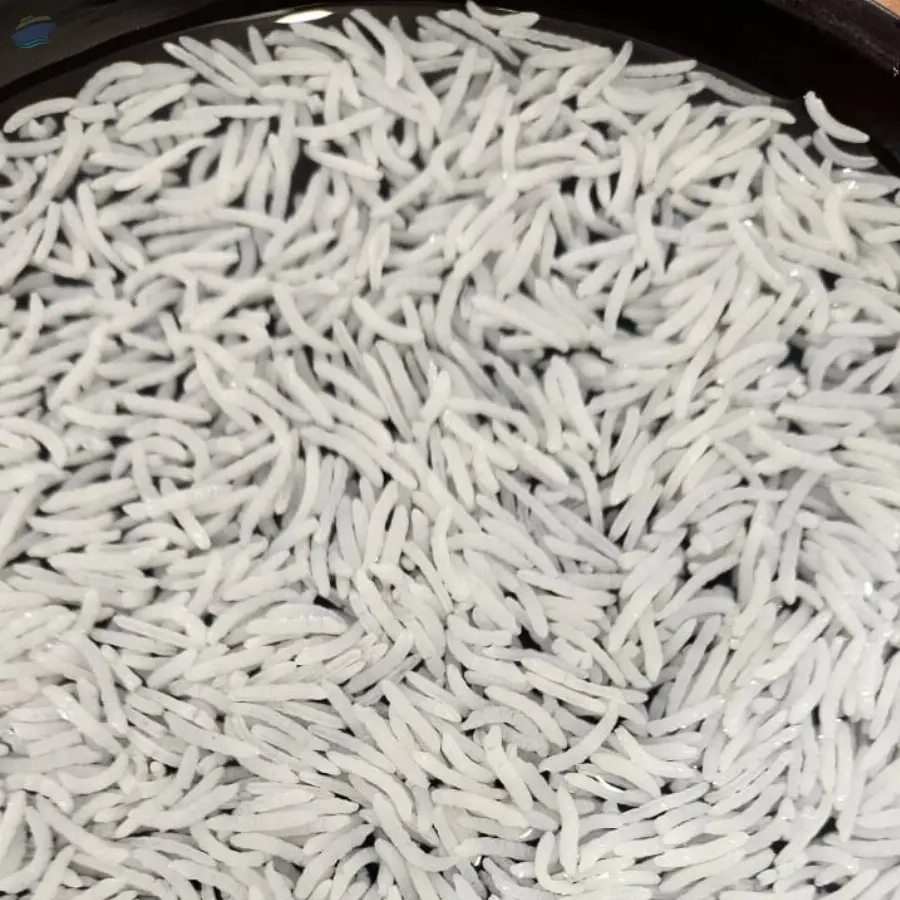 1121 Sella Rice