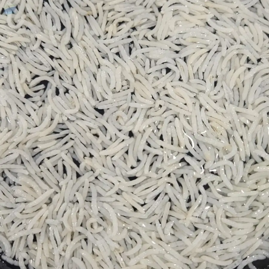 1509 Golden Sella Rice