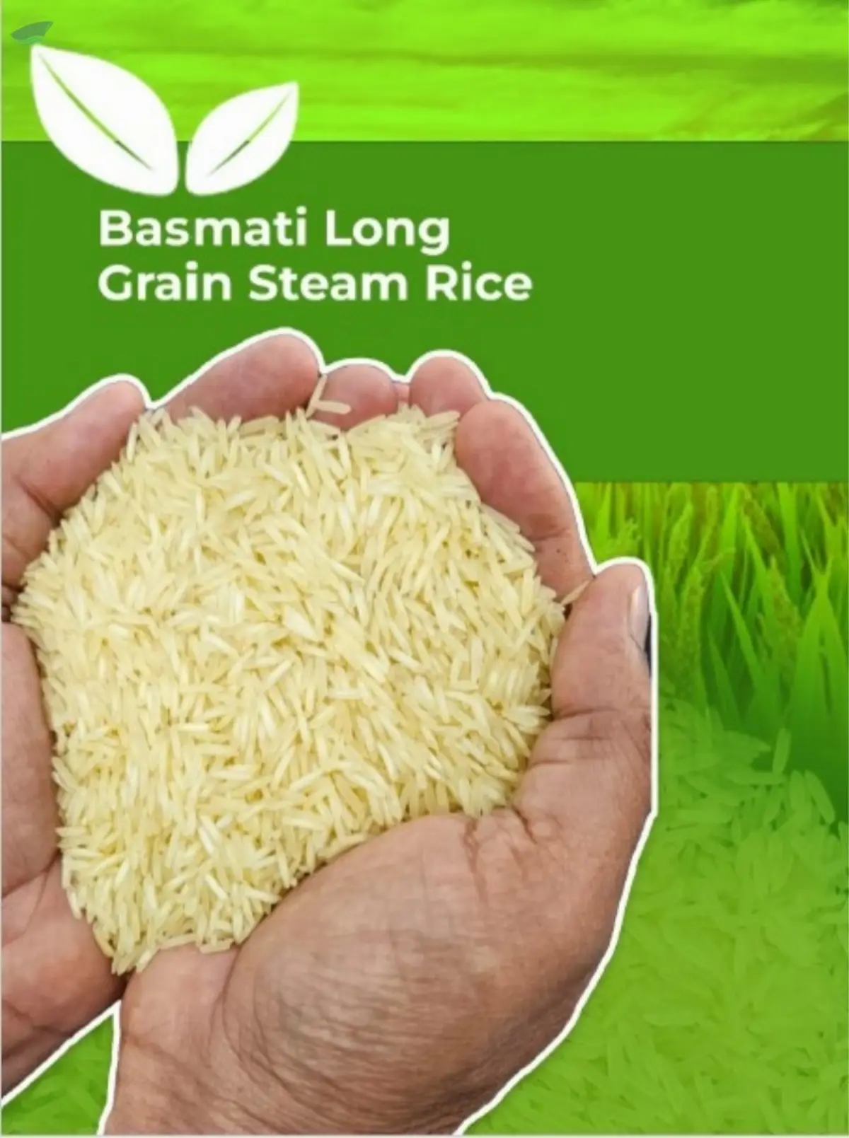 Basmati Long Grain Steam Rice