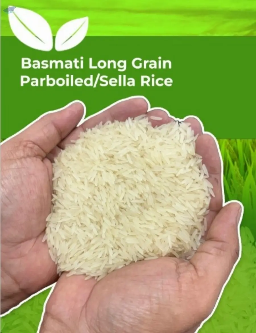 Long Grain Rice Parboiled or Sella Rice