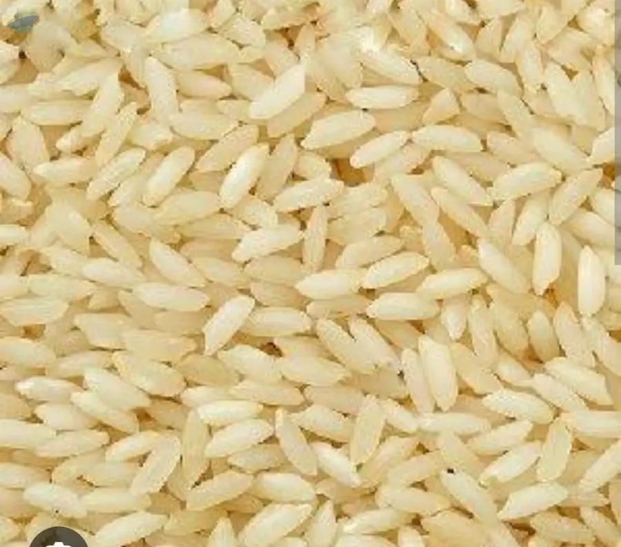 Sona Masuri Rice