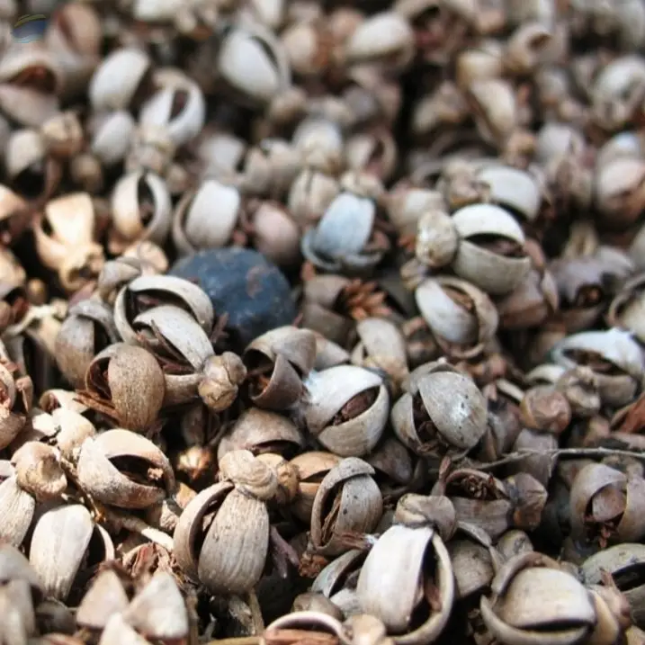 Top Quality Palm Kennel Shell -  Best Quality