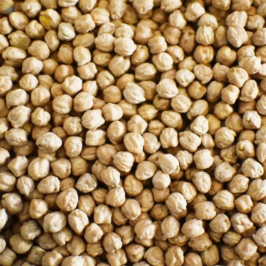 Non-GMO Raw Dried Chickpeas
