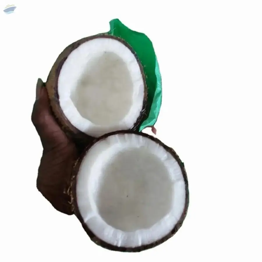 Indian Coconut by TS GLOBAL